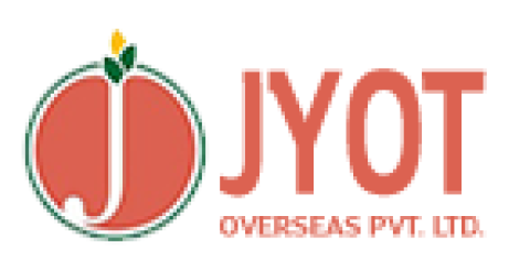 Jyot Overseas - Psyllium Husk Suppliers in India
