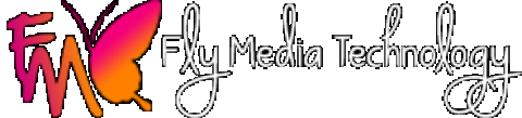 Flymedia Technology - Best IT Company in Ludhiana
