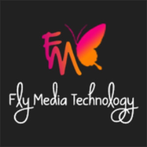 Flymedia Technology - Best Website Development in Punjab
