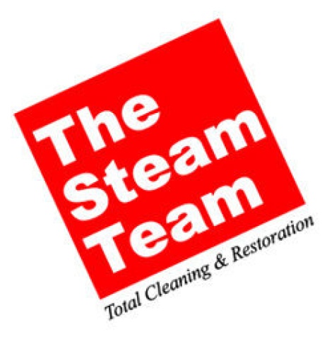 The Steam Team