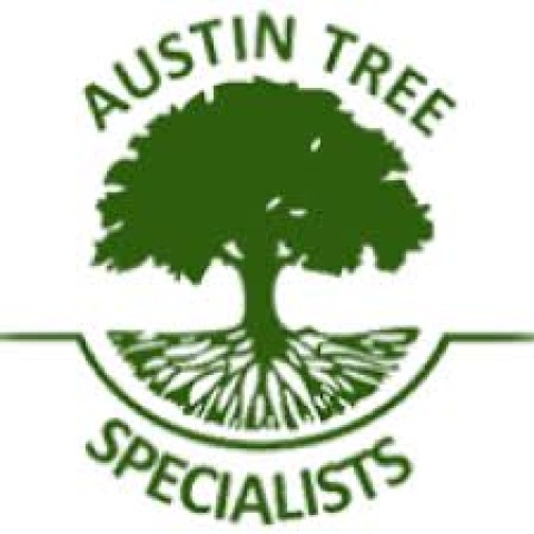 Austin Tree Specialists