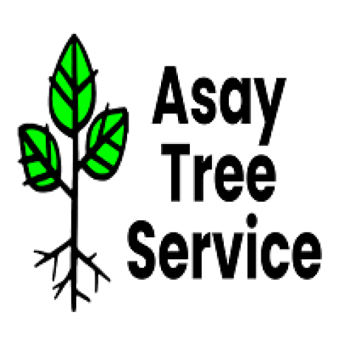 Asay Tree Service
