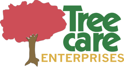 Tree Care Enterprises