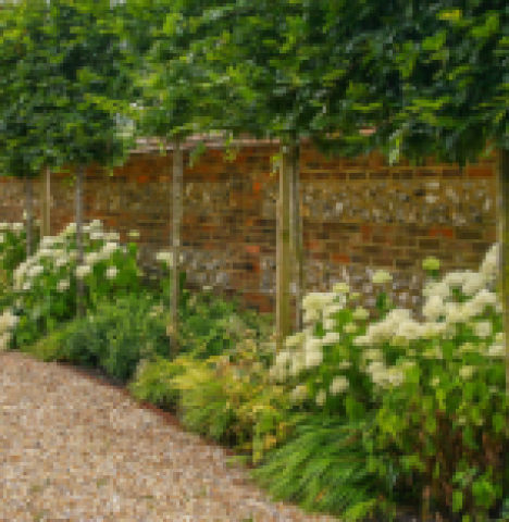 Garden Design Suffolk
