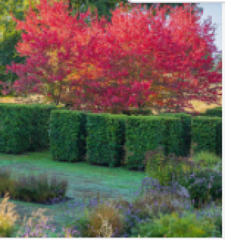 Jeremy Allen Garden Design