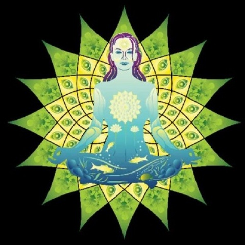 Namaste Skincare & Wellness
