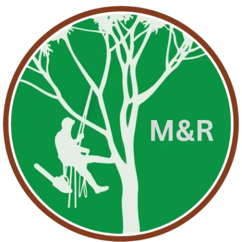 M&R Tree services