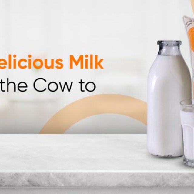 Cowzy Milk - Buy A2 Milk Online
