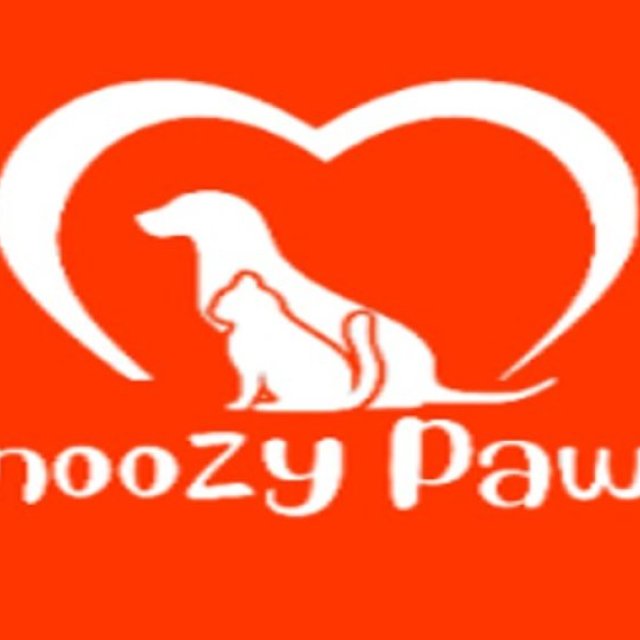 Snoozy Paws