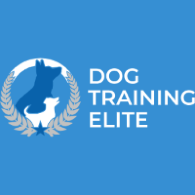 Dog Training Elite Charlotte