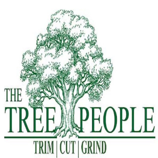 The Tree People