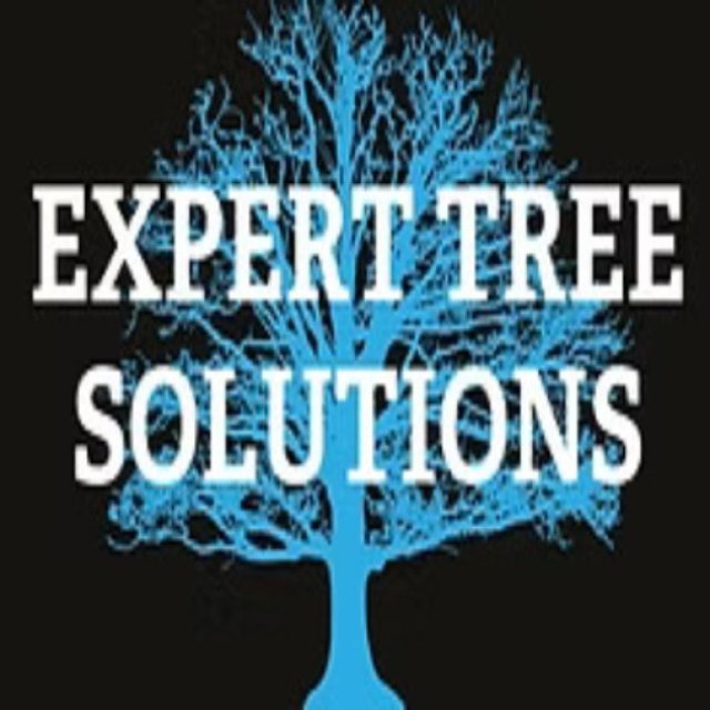 Expert Tree Solutions