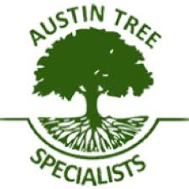 Austin Tree Specialists