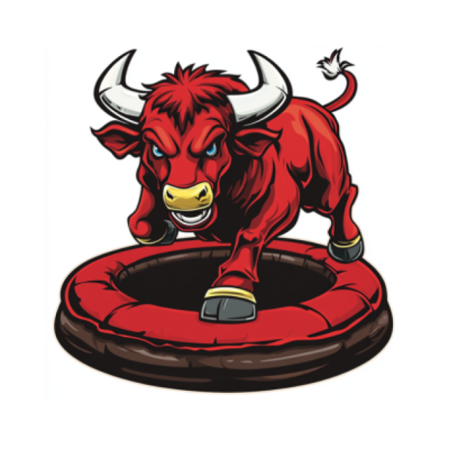 Best Mechanical Bull Rental DFW