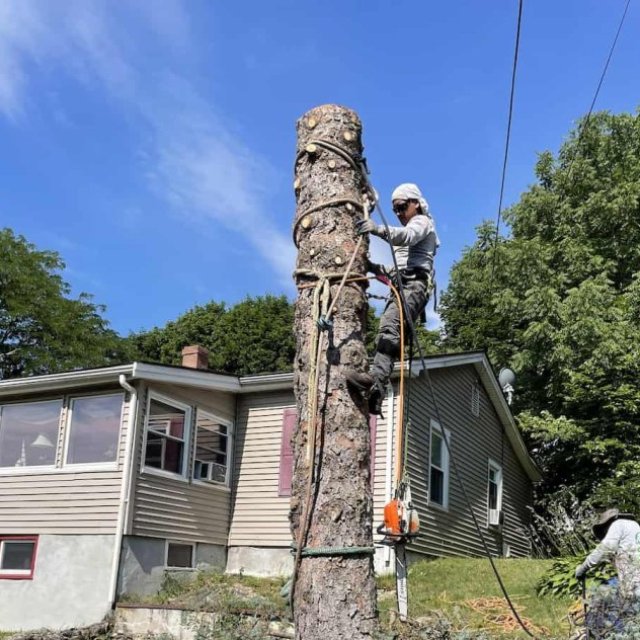 Nelson’s Hardscape and Tree Service