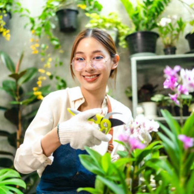 West Mobile Tree Service