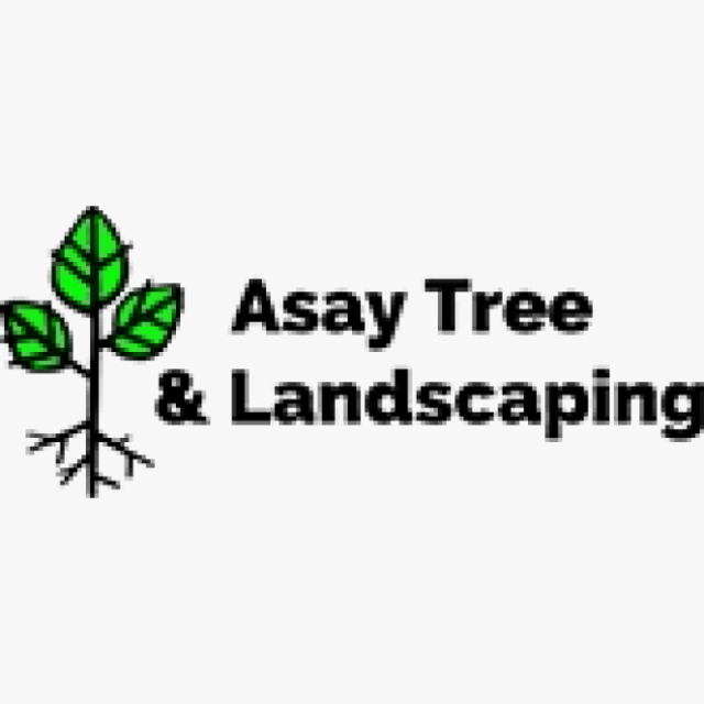 Asay Tree Service