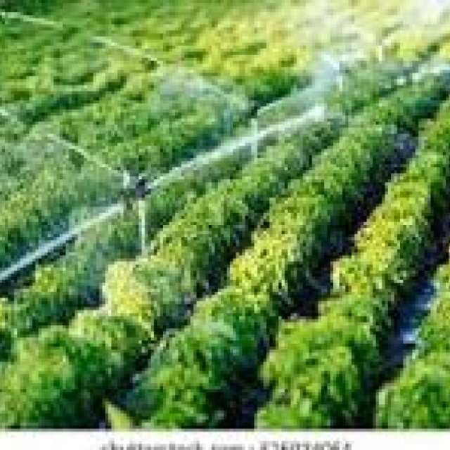 Verde Oasis Landscaping LLC