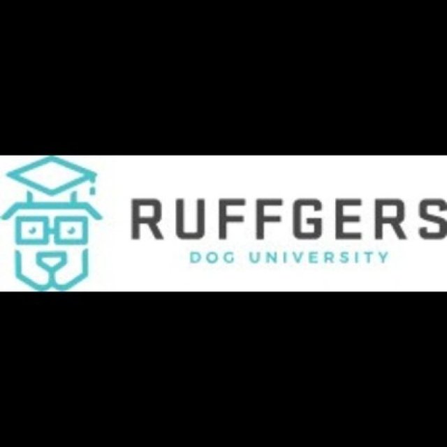 Ruffgers Dog University - Sarasota Dog Training & Boarding