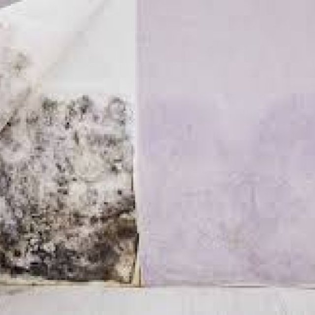 The Professional Touch