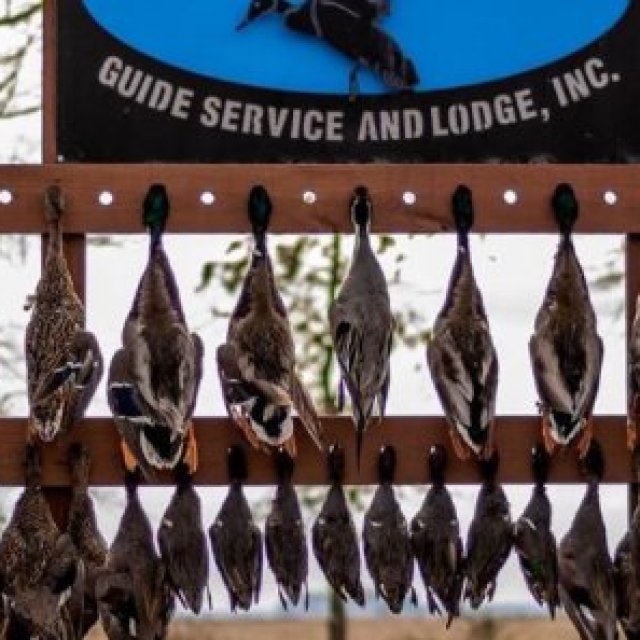 Premier Jonesboro AR Duck Hunting