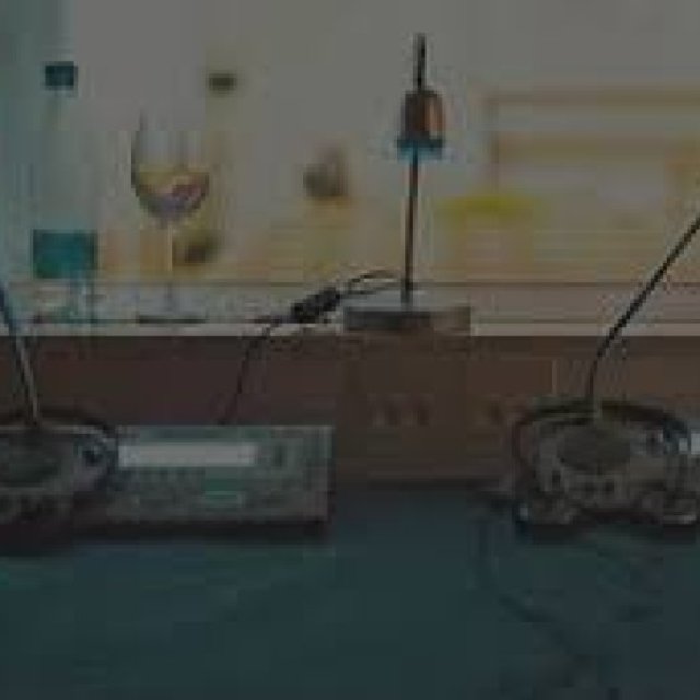 Professional Interpreting Services