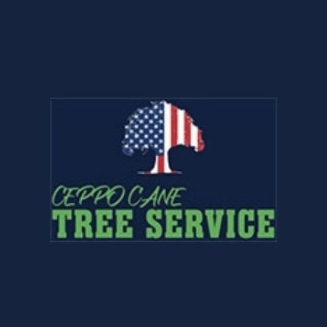 Ceppo Cane Tree Service