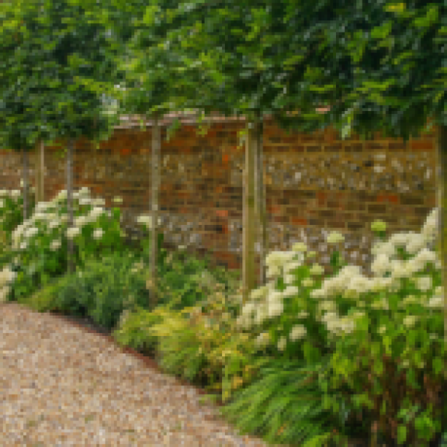 Garden Design Suffolk