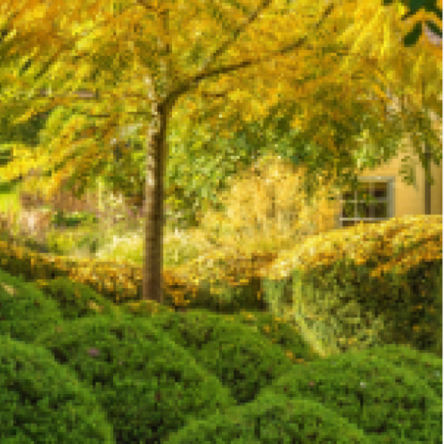 Country Garden Design