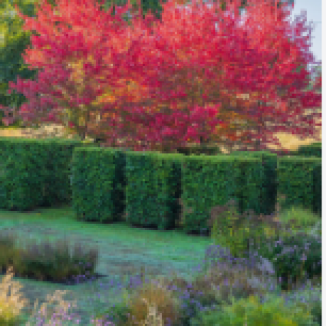 Jeremy Allen Garden Design