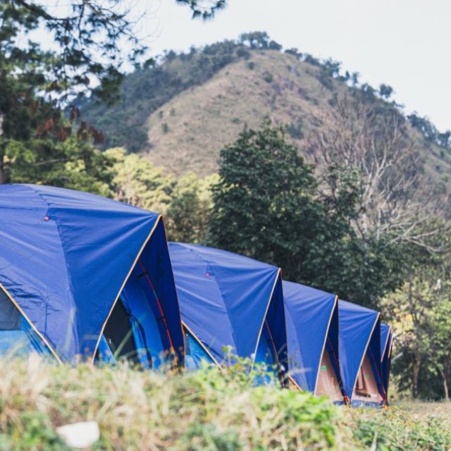 Tarps Plus
