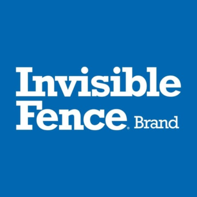 Invisible Fence
