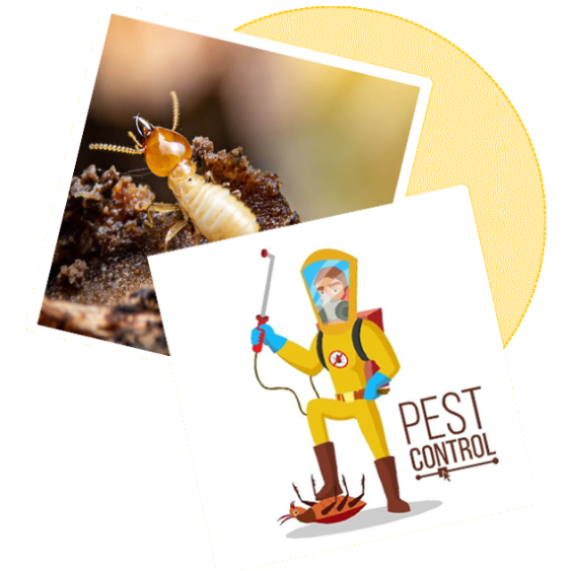 Sorna Valli Pest Control