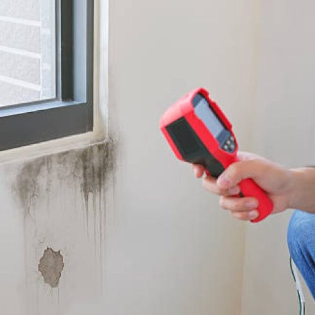 Aspen Leaf Property Inspections, ltd