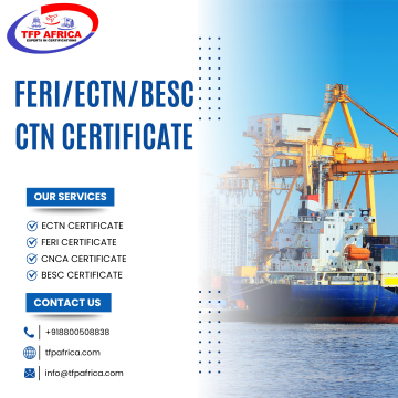 TFP Africa