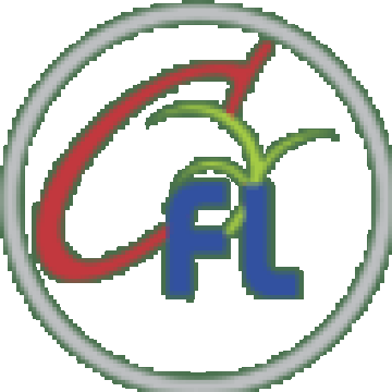 chintamani finlease